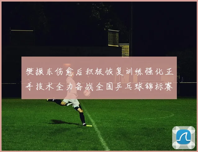樊振东伤愈后积极恢复训练强化正手技术全力备战全国乒乓球锦标赛