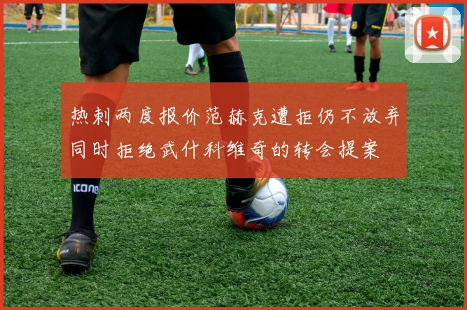 热刺两度报价范赫克遭拒仍不放弃同时拒绝武什科维奇的转会提案