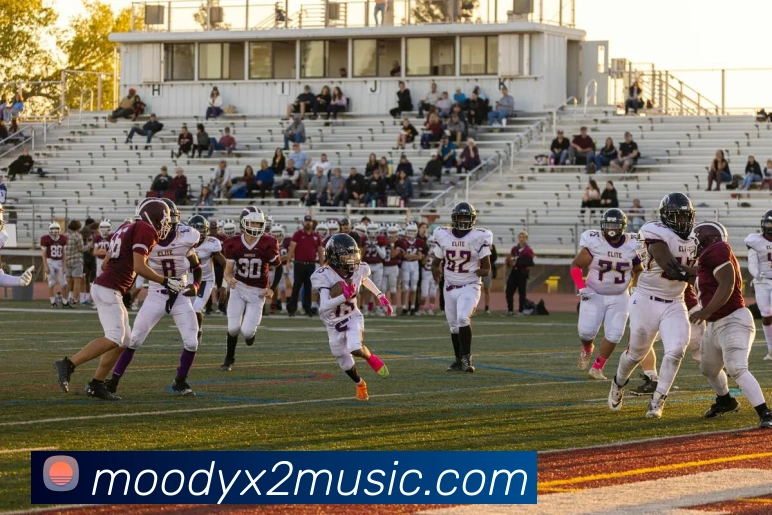 未来规划